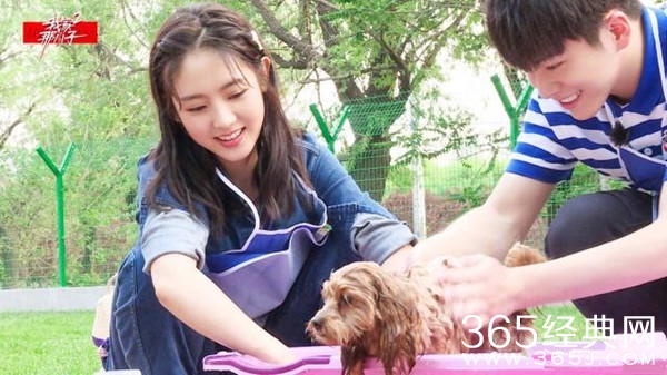 邢菲参加《我家那小子》深受各位妈妈喜爱