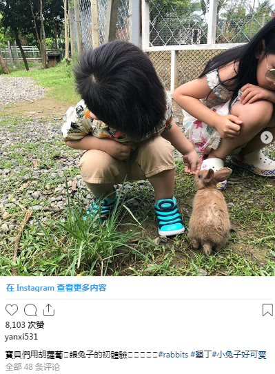 陈妍希晒儿子萌照 力破与陈晓不合传闻