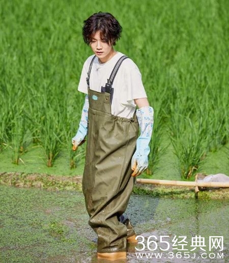 《向往的生活》鹿晗徒手抓鱼 被封“鱼王”