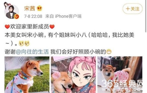 宋茜领养《向往的生活》小碗 年纪轻轻有猪有狗