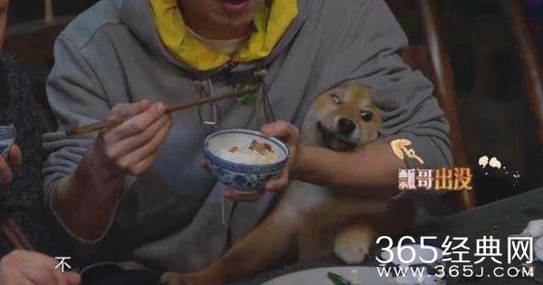 《向往的生活》只剩吃饭机器“瓢哥”无人认领