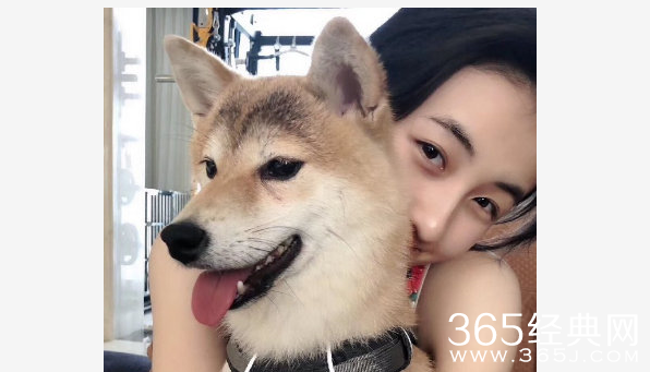 《向往的生活》只剩吃饭机器“瓢哥”无人认领