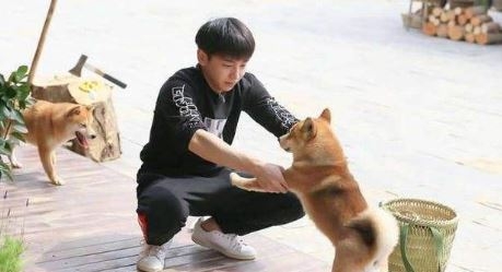 《向往的生活》抓蝴蝶游戏游戏规则介绍