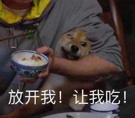 吃饭机器“瓢哥”有归宿了 王珞丹宣布领养瓢哥