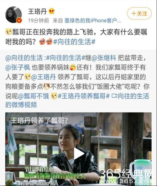 王珞丹领养瓢哥 网友：备好狗粮