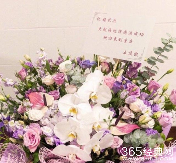 曾经的一面之缘 王俊凯现身张艺兴演唱会