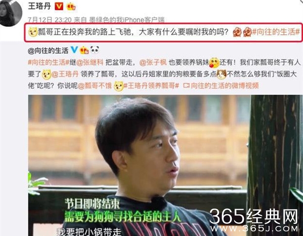 吃饭机器“瓢哥”有归宿了 王珞丹宣布领养瓢哥