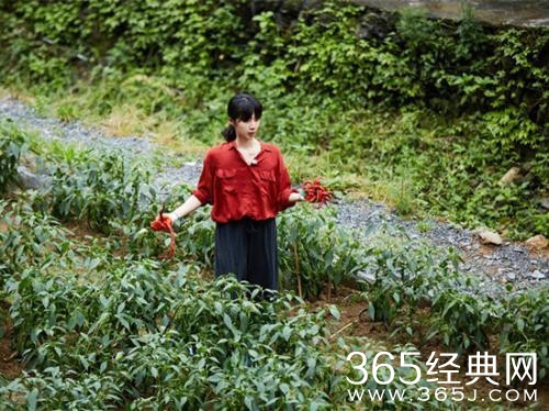 《向往的生活》黄磊和孙莉演情感话剧 看哭彭昱畅张子枫