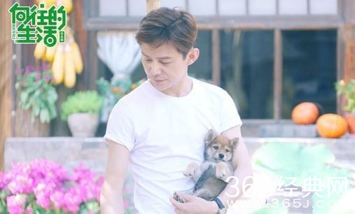 《向往的生活3》上演蘑菇屋版《暗恋桃花源》