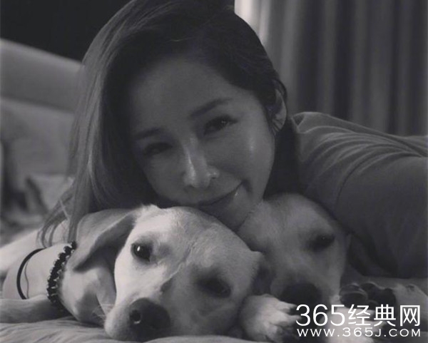 萧亚轩公司回应半夜发视频 小狗生病让大家担心了