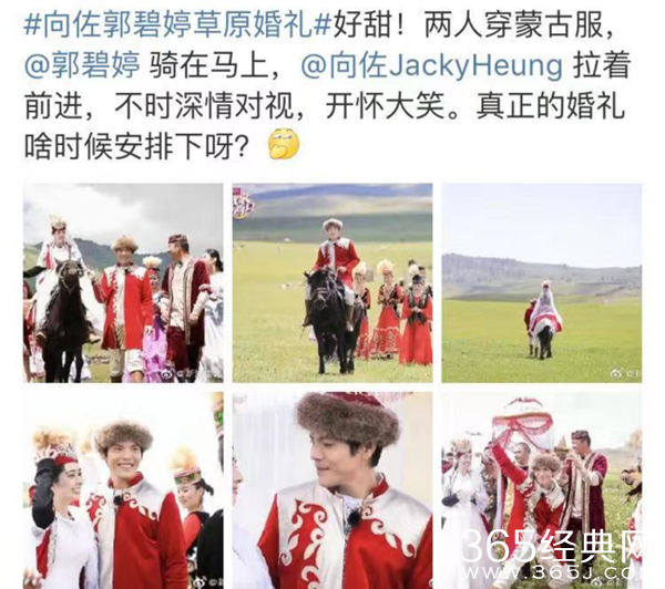 向佐郭碧婷草原婚礼 向太否认郭碧婷怀孕