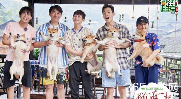 《向往的生活3》收官 张子枫抱狗姿势实力圈粉