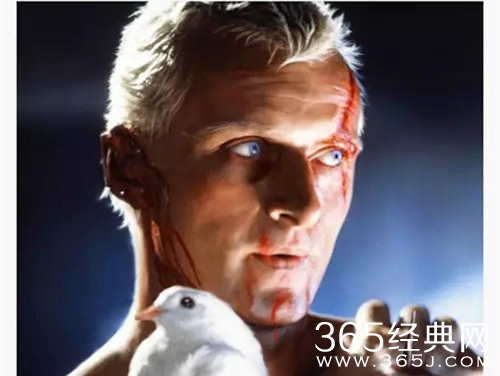 《银翼杀手》复制人哈尔去世 留下“雨中的眼泪”经典台词