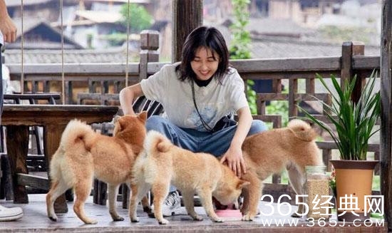张子枫抱狗姿势太温柔 被夸恬静温柔的女孩子