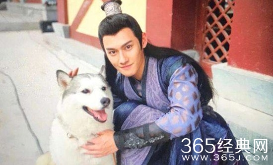 《陈情令》仙子是什么品种的狗
