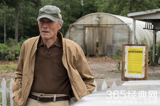 2019年8月暑期档即将上映电影介绍