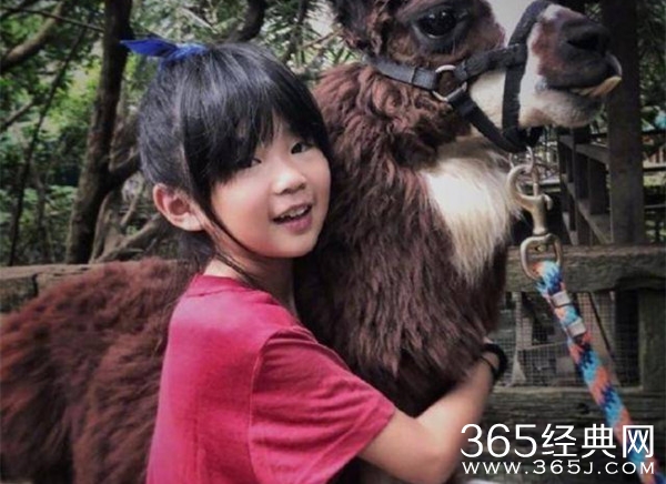 曹格女儿长大了！网友惊呼：“整容式长大”