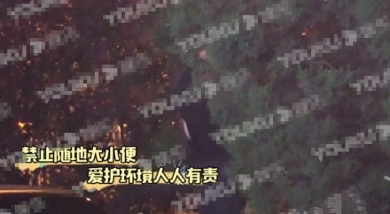 李云迪与美女共进晚餐 随后竟当街小便 ？