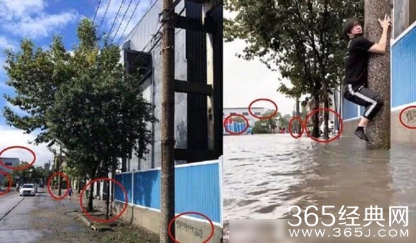 共青团点名批评薛之谦 拿台风灾情开玩笑