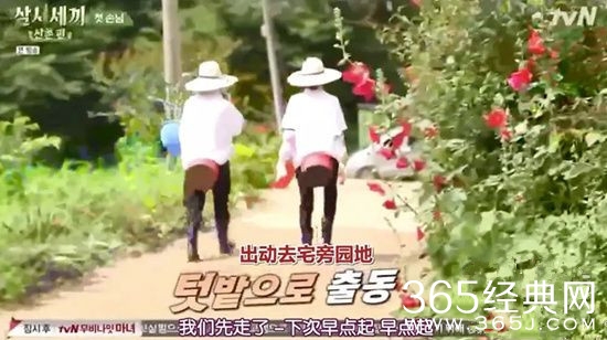 老罗下饭综艺回来啦 三时三餐山村篇回归