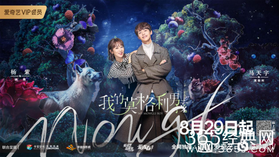 杨紫新剧《我的莫格利男孩》即将上映  更新信息介绍