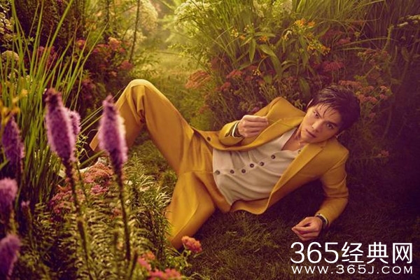 向佐肾功能不好犹如70岁老人？向太心疼儿子曝生病原因