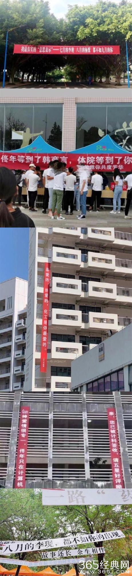 别人的学校！李现杨紫登上高校迎新横幅