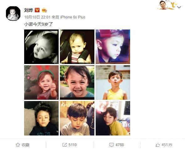 刘烨为儿子庆生 九宫格见证诺一的成长