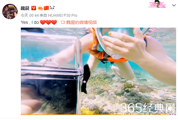 魏晨宣布成功求婚女友 十年恋情终结果