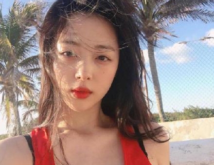 雪莉的求救信号 曾持续请求SM应对恶评无果