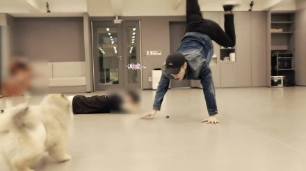 张艺兴倒立训狗 粉丝大呼：人不如狗系列