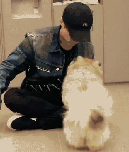 张艺兴倒立训狗 真的是小可爱本人了