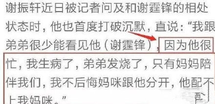 Lucas遭父亲谢霆锋冷暴力？经纪人霍汶希：不作回应