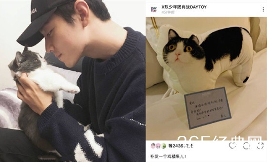 肖战晒坚果抱枕被黑粉攻击 肖战坚果抱枕事件始末经过