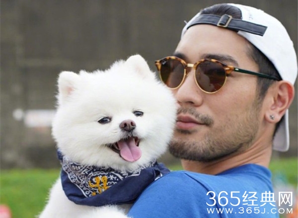 高以翔录制追我吧 晕倒猝死抢救无效去世