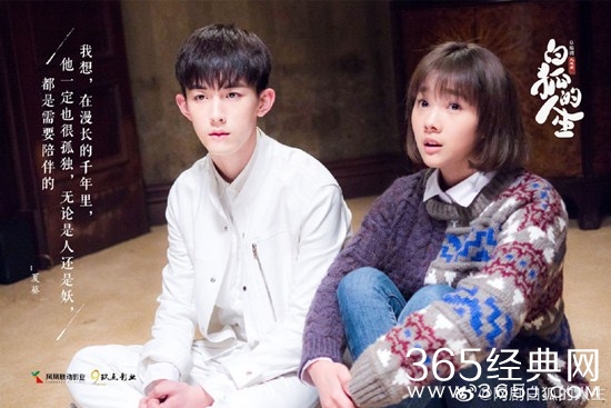 《白狐的人生》原著小说介绍