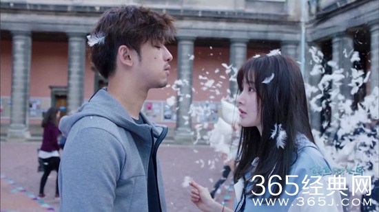 《鳄鱼与牙签鸟》周尔文感情线介绍