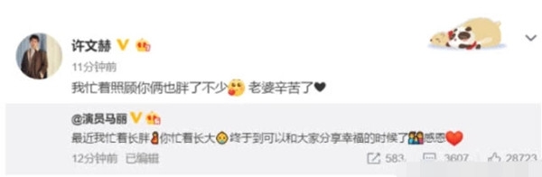 马丽承认怀孕发微博分享喜讯 老公转发大秀恩爱