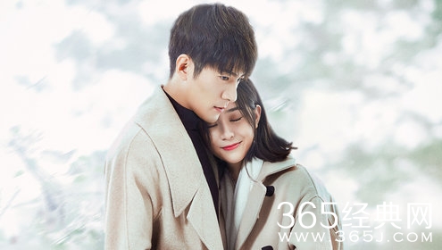 《你是我的奇迹》林泽和陈梦的结局怎么样？