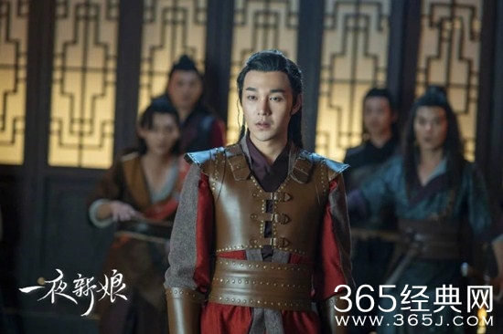 《一夜新娘》剧集更新信息介绍