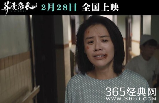 马思纯主演《荞麦疯长》2.28感受“命运感”的拉扯