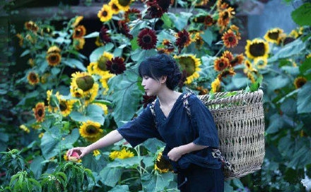 YouTube粉丝突破700万 李子柒视频是文化输出吗？