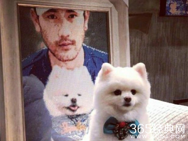 浙江卫视道歉停播追我吧 网友指出没有正面回答二十问