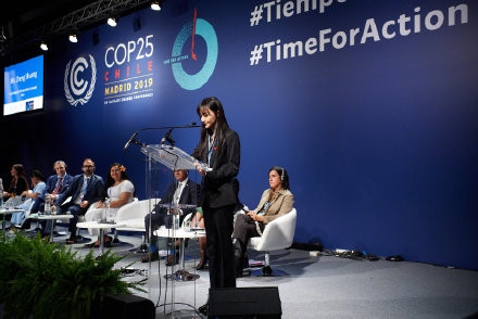 郑爽将联合国演讲发言 网友担心其英文水平