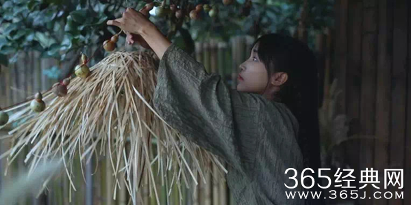 李子柒是不是文化输出？网友关心的是她一年赚多少钱