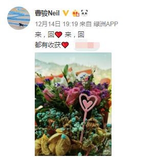 曹骏发文疑与蓝盈莹复合：来回来回 都有收获