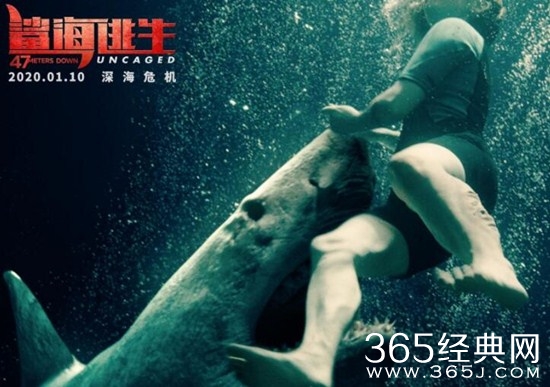 《鲨海逃生》国内定档 鲨海导演又一刺激力作