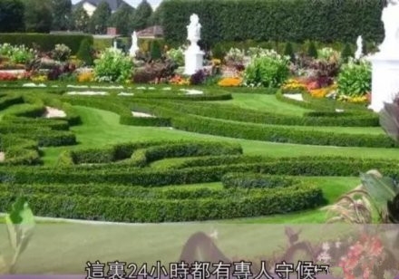 高以翔墓园被曝已正式开工 24小时有专人守候