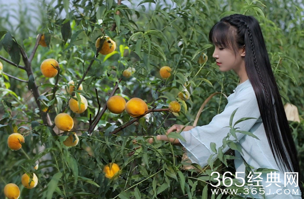 李子柒否认年入1.6亿：达不到网友所说的那么高