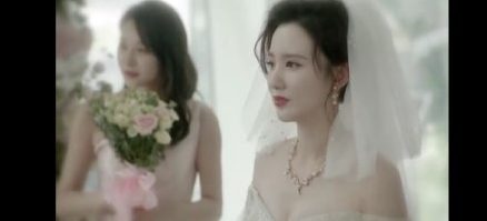 《安家》再上热搜 张乘乘徐姑姑婚礼男主角逃婚？